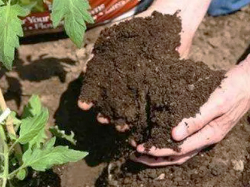 Processo di produzione di fertilizzanti organici