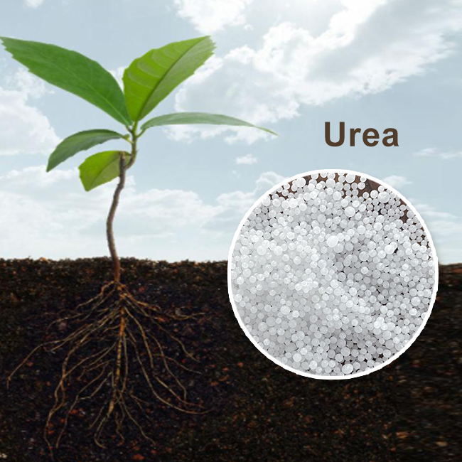 Benefícios do fertilizante de uréia